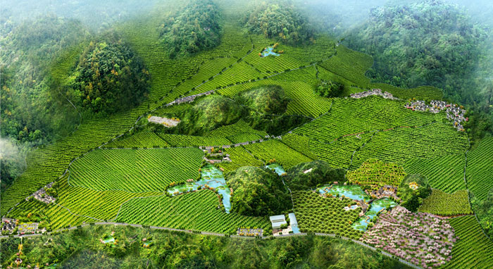 1512443609018022515.jpg 8.jpg